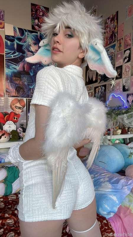 indigowhite image #214