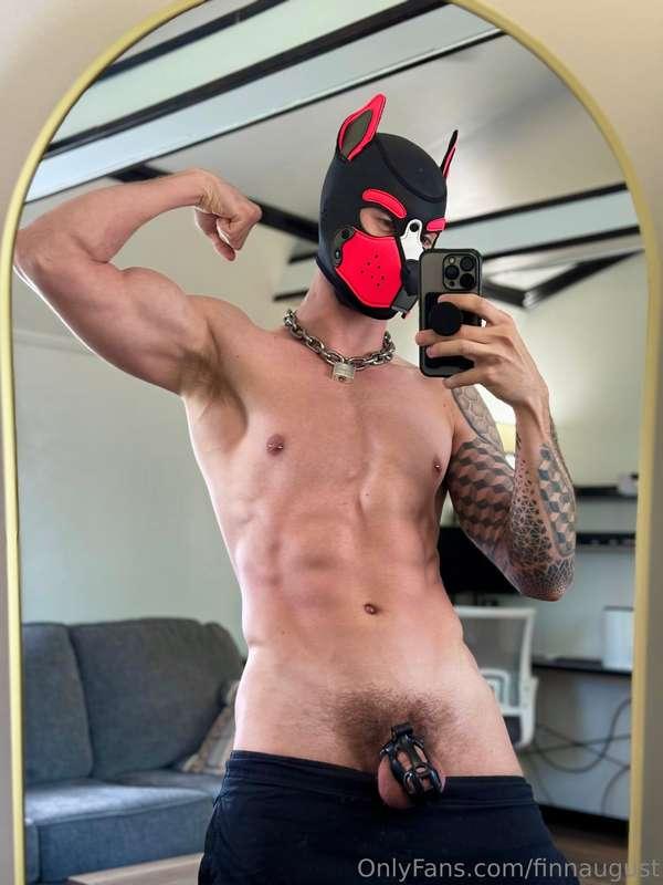 Don’t mind me while I bark a little 🐶