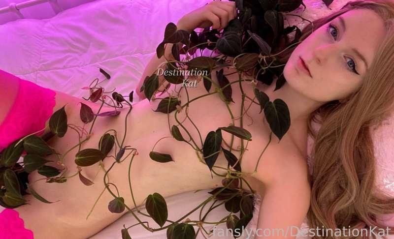 destinationkat image #2