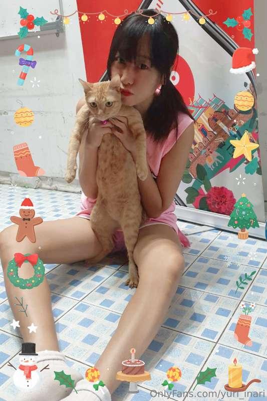 🎄🎄🐱