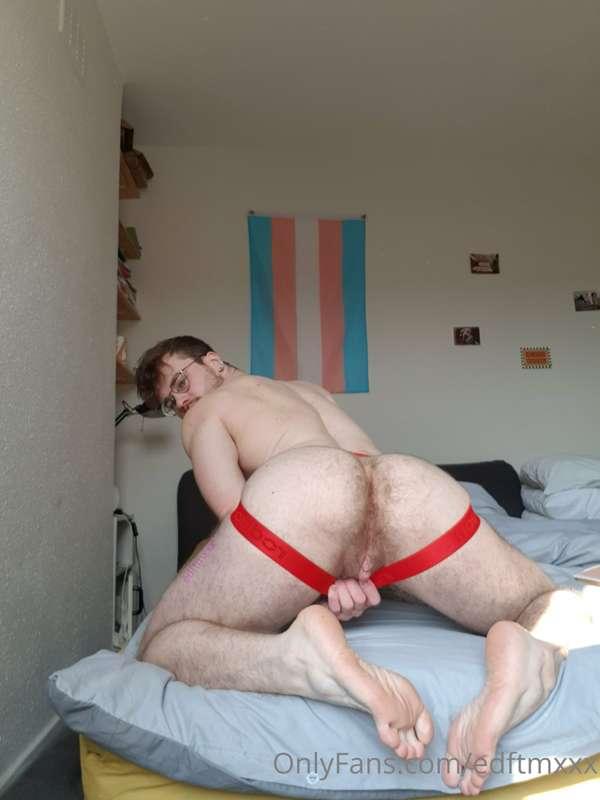 edftmxxx image #4