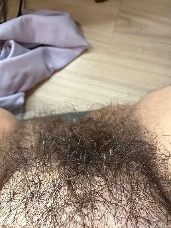 Bush time! 

#bush #hairy #natural #hairygirl #hairywoman #hairywomen #fyp 