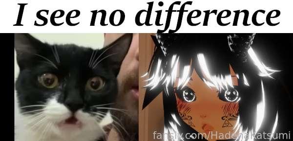 hadenakatsumi image #0