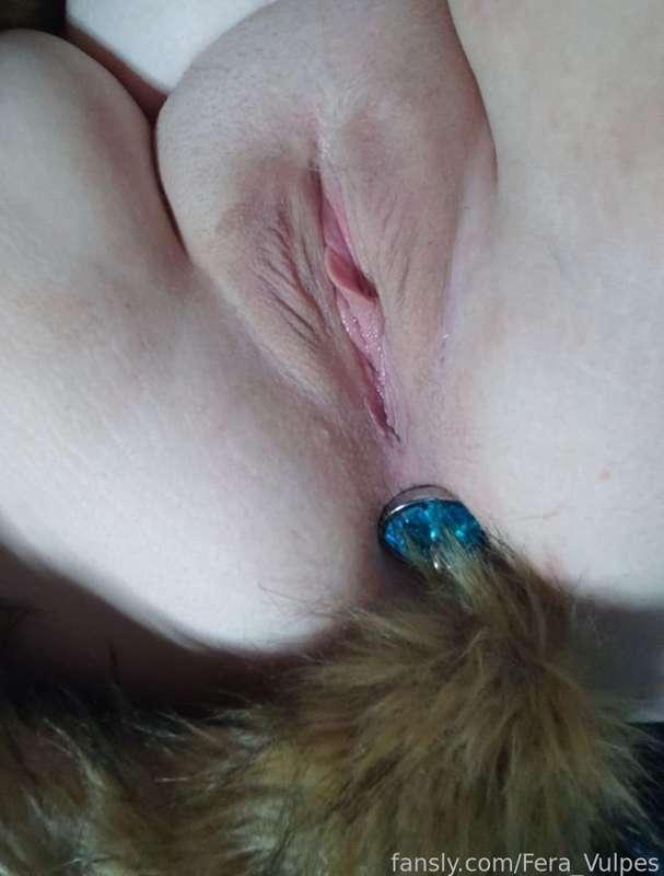 fera_vulpes image #3