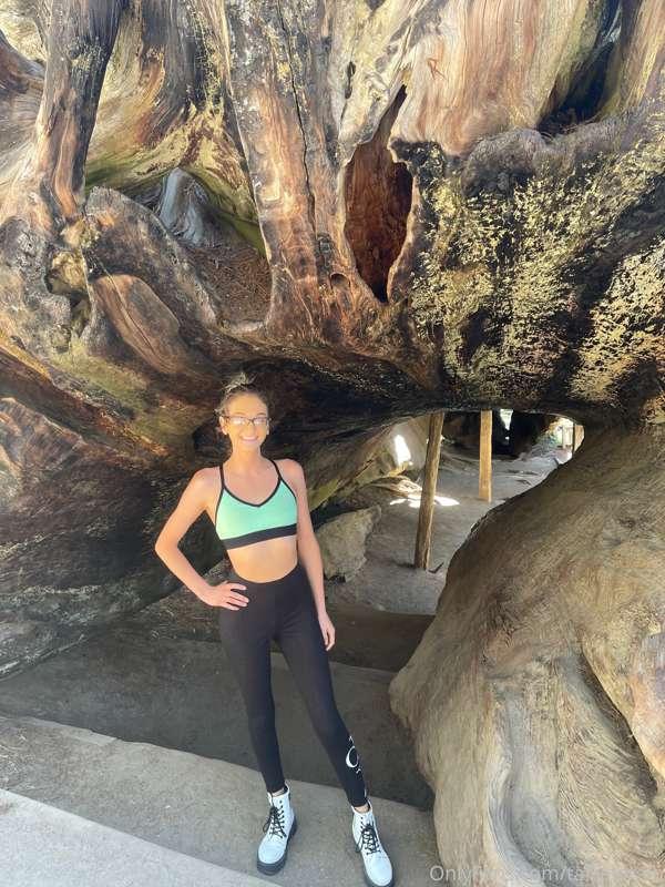 Visited the Giant Sequoia National Forest! So beautiful