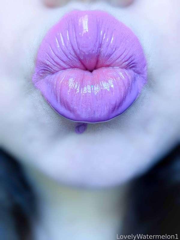 lovelywatermelon1 image #15