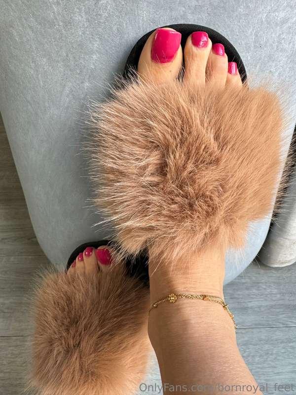 bornroyal_feet image #3