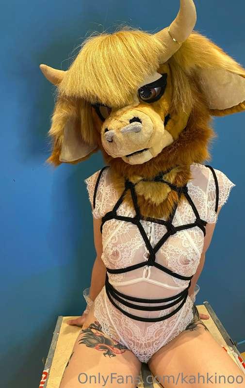 I'm just waiting for something, can you guess what~ ?