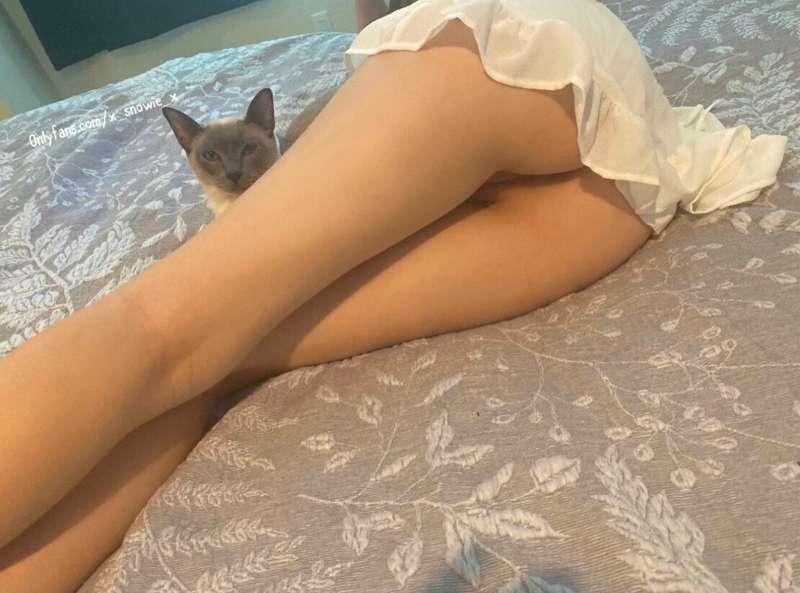 Chillin with noodles 🐈