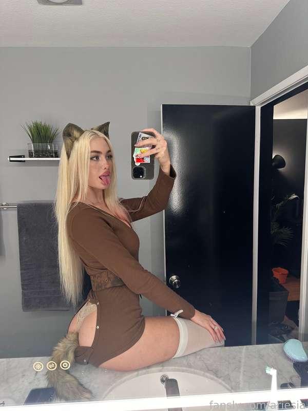 ariesia image #1