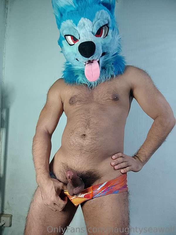 naughtyseawolf main image