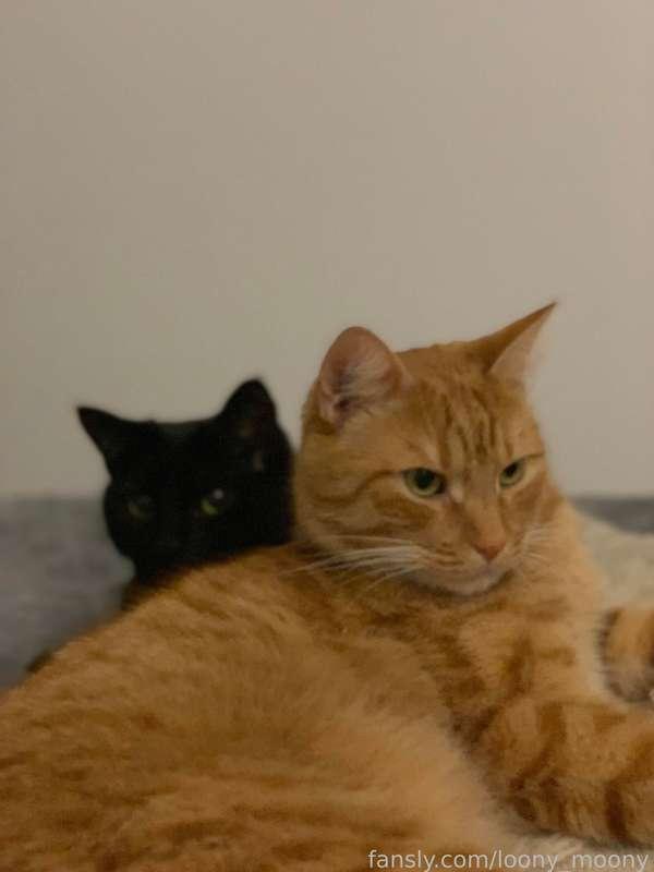 loony_moony image #3