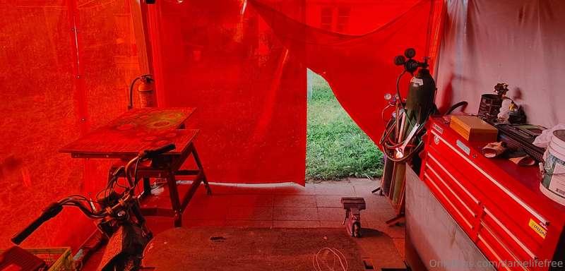 damelifefree image #1