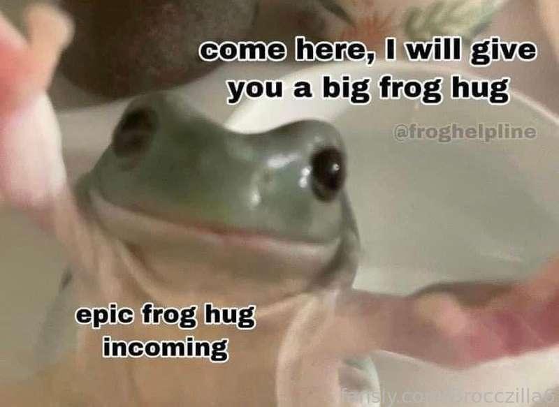 brocczilla6 image #0