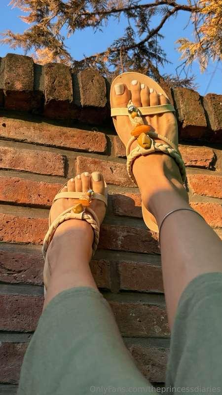 rate with tip from $1 to $10 how my feet look with these san..