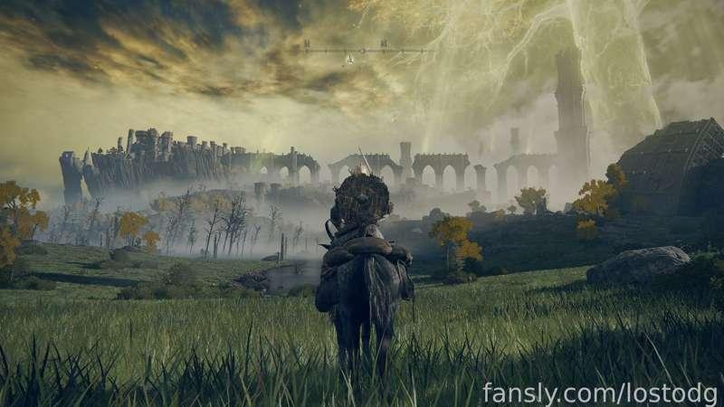 lostodg image #3
