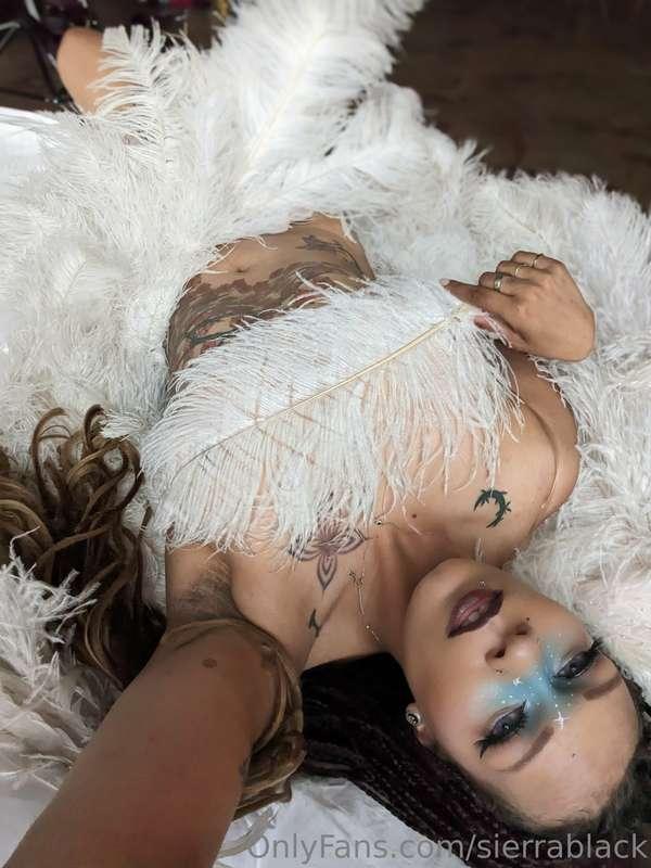 sierrablack image #10