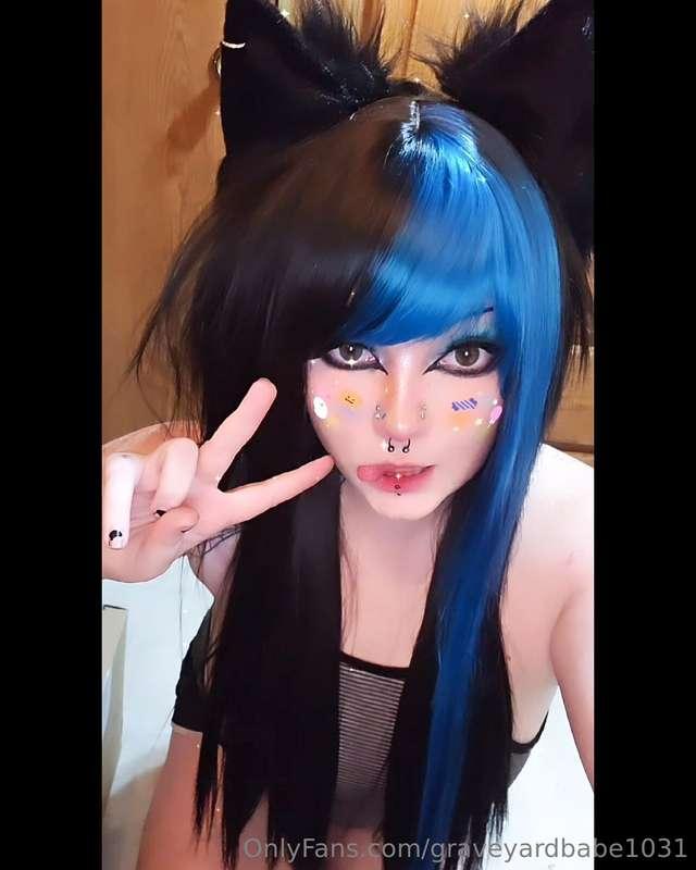 Feelin' like a cutie 💙🖤🐾
