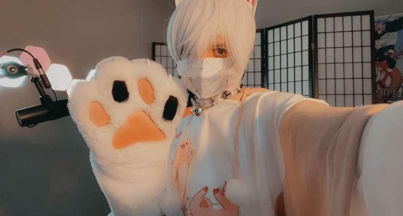 catboiaoi image #6