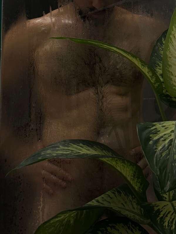 avagfit image #1