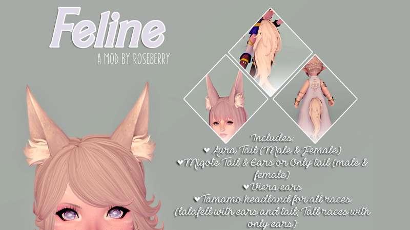 [Tail&Ear] Feline