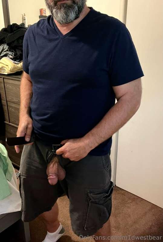 m1dwestbear image #4