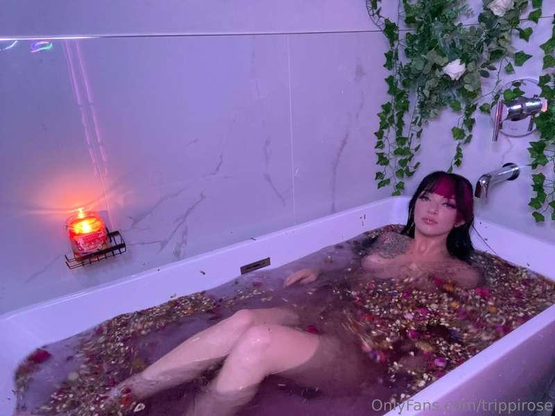 trippirose image #7