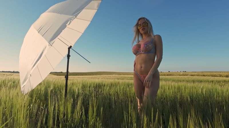 Dominika - Fields :BTS