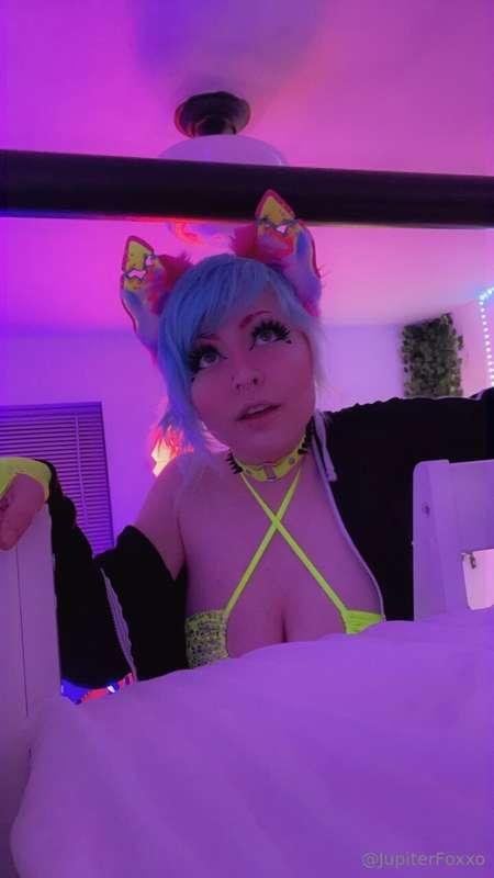 this kitty has claws 😽