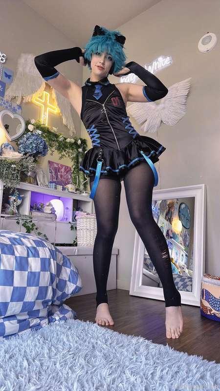 indigowhite image #151
