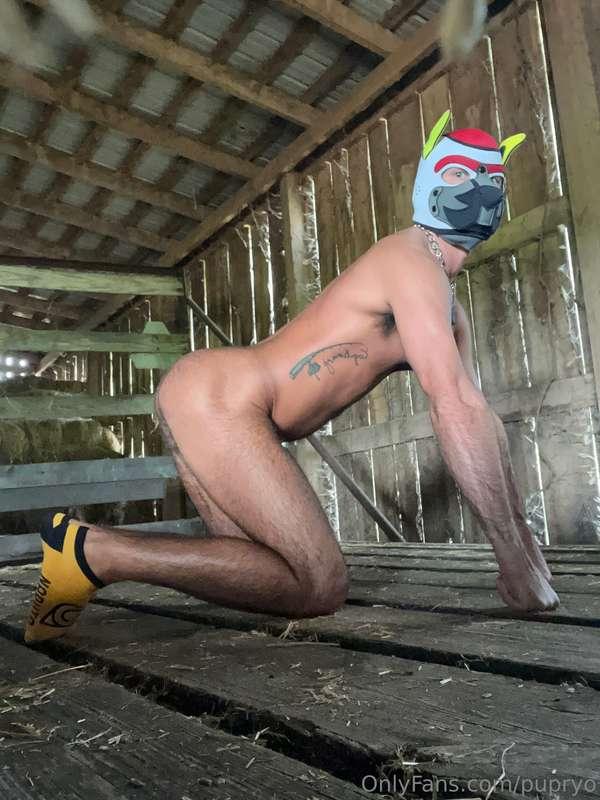 pupryo image #2