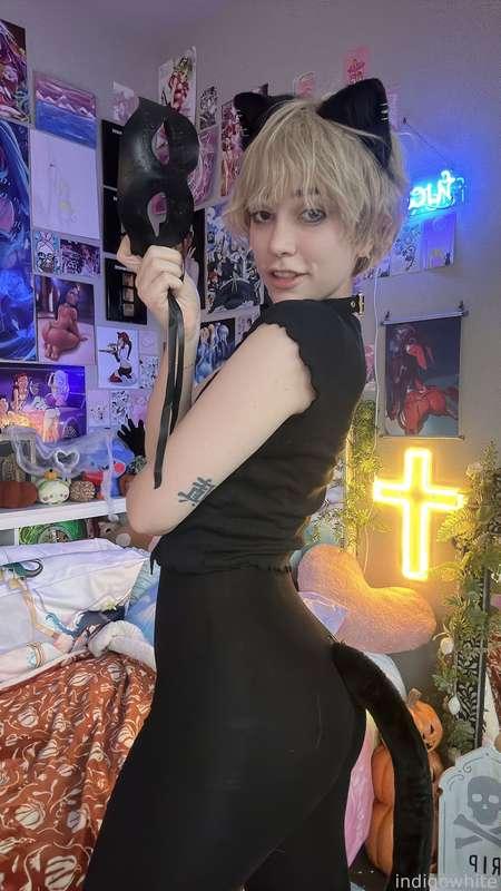 indigowhite image #79