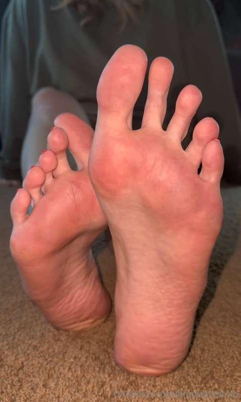happy toesday!think you could fit all of them into your mout..