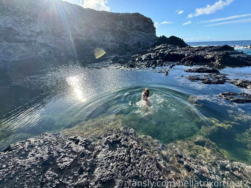 bellatrixortreat2 image #1