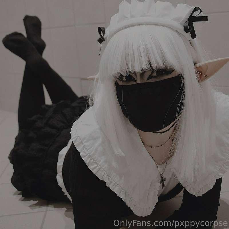 pxppycorpse image #6
