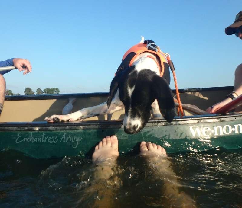 Every camping trip is better with a curious photobombing pup..