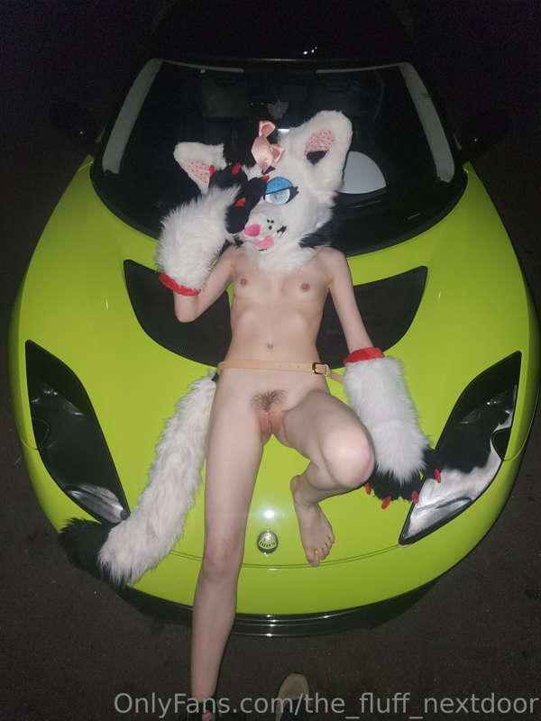 the_fluff_nextdoor image #12