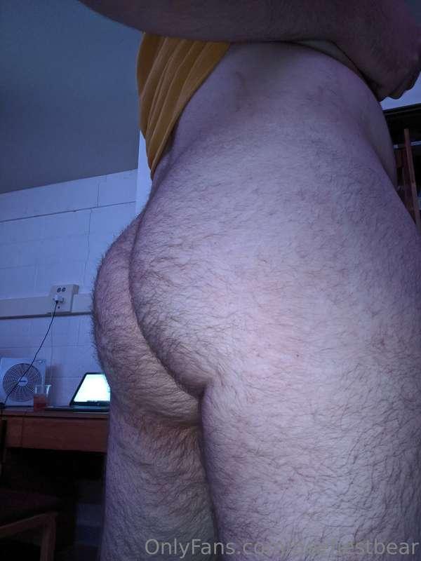 I think it's growing nicely 🐻