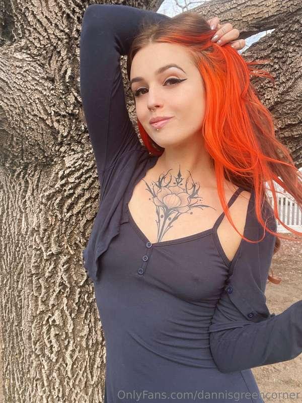 dannisgreencorner image #0
