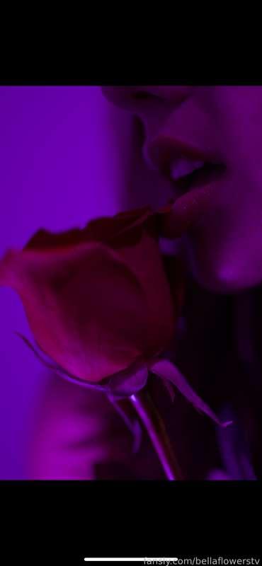bellaflowerstv image #0