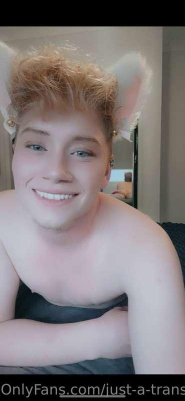just-a-trans-guy image #4