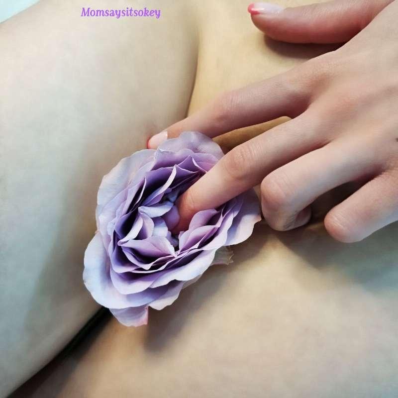 Blooming rose 😙