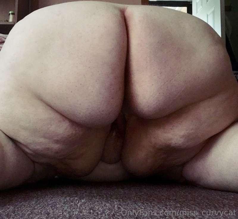miss_curvycat image #0