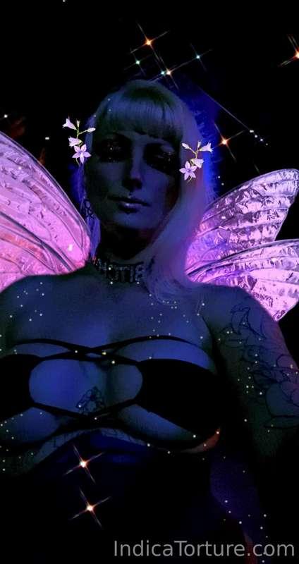 🧚‍♂️Fairy loves 🧚