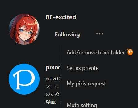 View my content on Pixiv instructions!