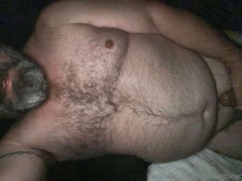 m1dwestbear image #0