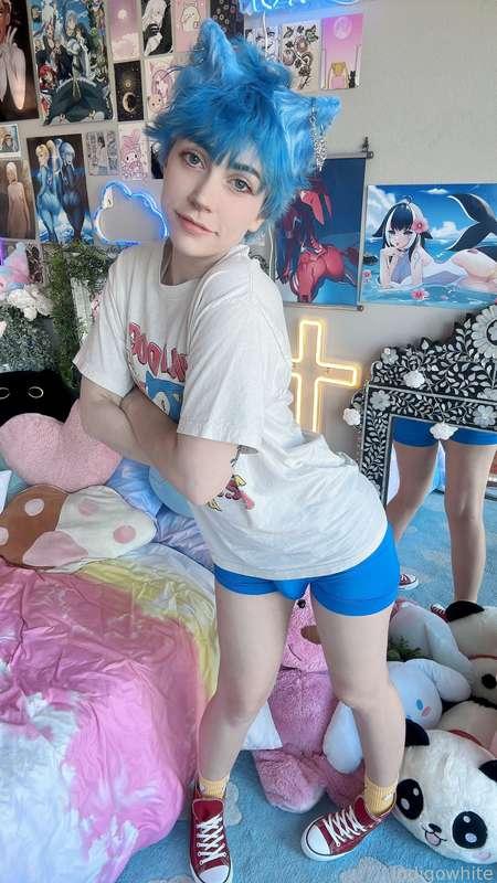indigowhite image #84