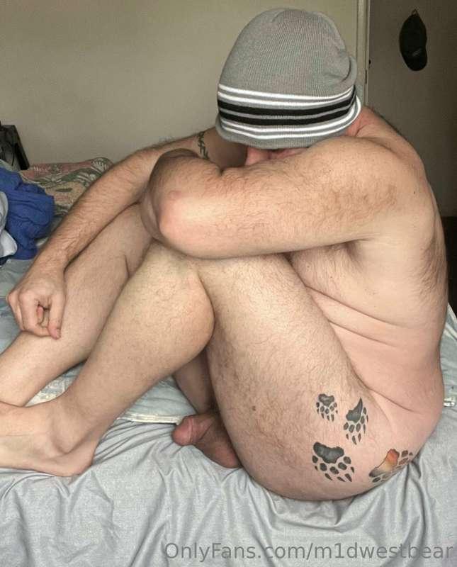 m1dwestbear image #4