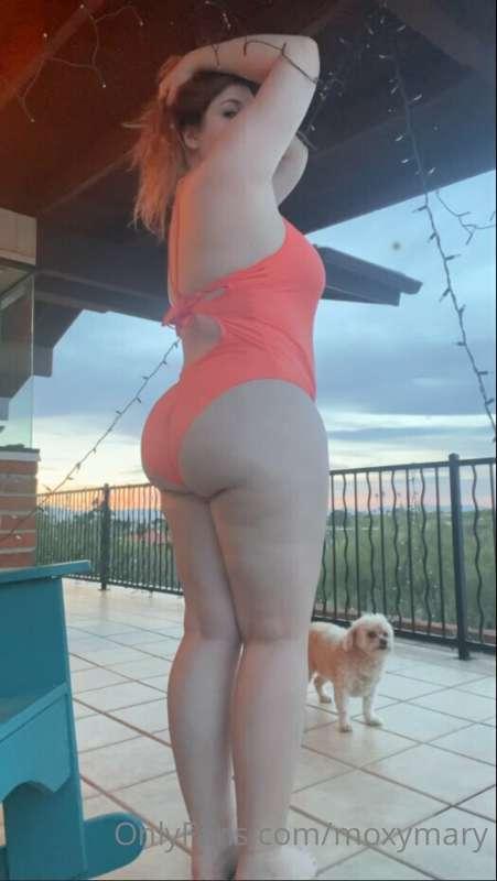 I was in Tucson this week and had a pool to swim in when the..