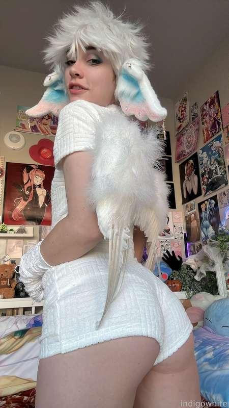 indigowhite image #239